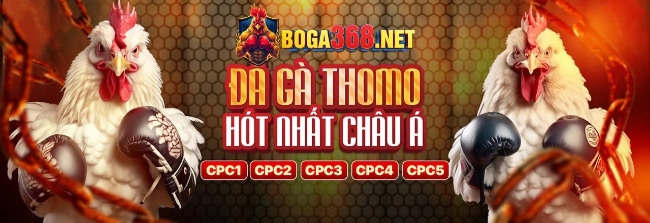 Hướng dẫn cá cược trực tuyến wibo88 win cho người mới bắt đầu
